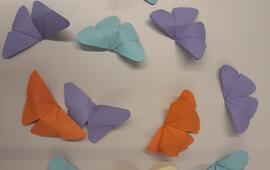 Laboratorio origami 24-25