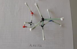 Chimica_Modelli 3D di molecole biologiche
